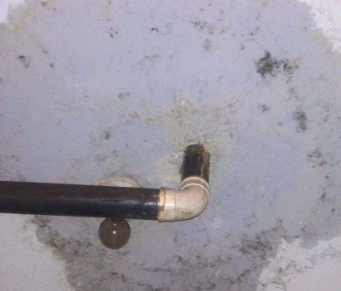 东明卫生间防水哪家好