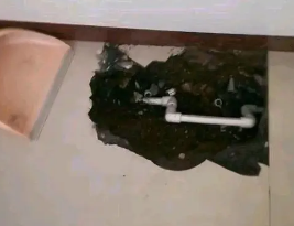 东明卫生间测漏水多少钱